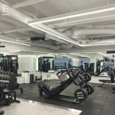 코지트