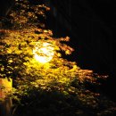 ‘한강’ 산책 이미지