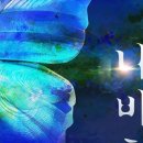 강남-131 이미지