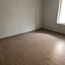 오크포레스트 이미지