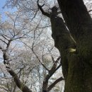 백옥대로1081번길 이미지