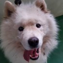 아산호로 이미지