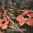 행복한세계로 이미지