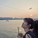 (주)로켓컴퍼니