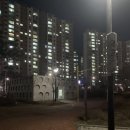 물빛공원 농구장 이미지