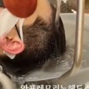 e-편한헤어