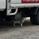 리멤버스터디카페 이미지