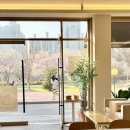 단대공원공영주차장 | 수원 벚꽃 명소 신동수변공원 벚꽃 개화상황 공영주차장 주차 유모차 후기