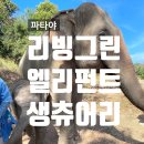 동원농장 | 파타야 코끼리 생츄어리 코끼리 보호소 아이랑 가볼만한곳: 리빙그린 엘리펀트 생츄어리 (내돈내산 후기)