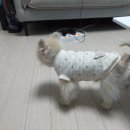 다비다움