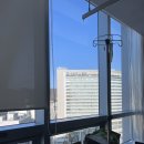 다빈치(주) | 신촌 세브란스 자궁근종절제술 후기(다빈치로봇수술)