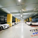팰리스 호텔(PALACE HOTEL) 티스토리