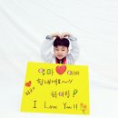 올림픽석사태권도 이미지