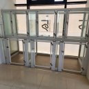 플러피독 이미지