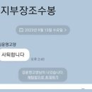 김윤영 부지부장 사퇴 알림 이미지