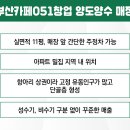 주정차051 이미지