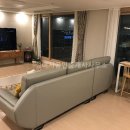 신일부동산중개사무소 이미지