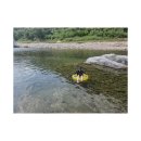 GS25 인제용대점 이미지