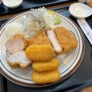 최선돈카츠 - 16799 | 부평구청 맛집 최선돈카츠 갈산동 점심 맛집