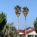 제주민박 이미지