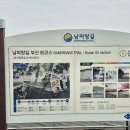용원 교차로 Daum카페