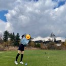 평창 알펜시아cc ⁘ 1박 2일 라운딩 ⁘ 홀리데이인 숙소 ⁘ 골프 패키지 후기💚