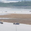 섬진강재첩국 이미지