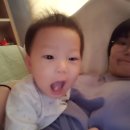 봉곡동389 | 생후381일~생후390일 육아일기, 12개월아기 일상