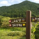 월림교 티스토리