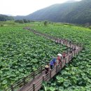 생태습지 이미지