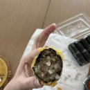 동은이꼬마김밥대원점