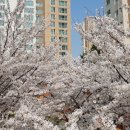 래미안길공인중개사사무소 이미지