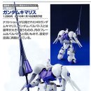 키마리스 이미지