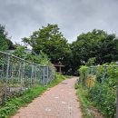 까치산근린공원 이미지