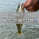 뉴 왕뼈 | 무자비한 배수 소식에도 짜치들로 응답받은 예당지 낚시여행 4번후기