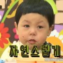 묭실 이미지