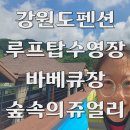 쥬얼리 펜션 | 강원도펜션 루프탑 수영장이 있는 숲속의 쥬얼리 펜션