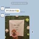 단아하개 이미지