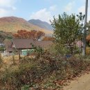 조중회 선생 묘 이미지