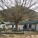 숲속아이 1 이미지