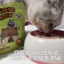 주식회사 베러펫 | 고양이 수분보충 추천ㅣ이루앙 습식사료 후기 (기호성·성분 솔직리뷰)