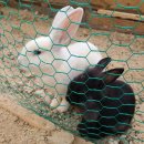 삼오농장 이미지