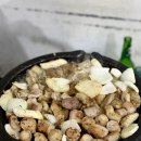 인천 주안동 곱창 맛집 구구곱창 후기｜한우소곱창 찐맛집