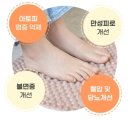 파인테라
