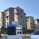 (주)신동 | 수원 영통 신동수변공원 4/2 개화 상황 벚꽃 나들이 후기