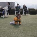 춘천산더덕숯불닭갈비