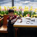 2023년5월1일-충남 도고 세계꽃식물원 이미지