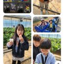 동하태권도 이미지