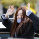 자자 이미지