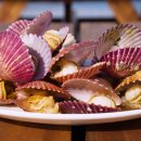 더가리비 이미지